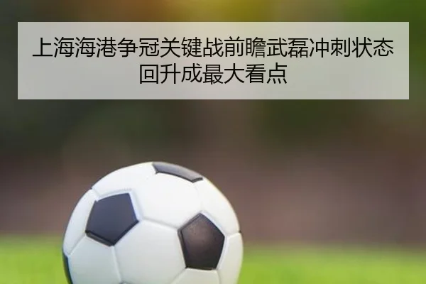 上海海港争冠关键战前瞻武磊冲刺状态回升成最大看点 - www.hthbet.comapp